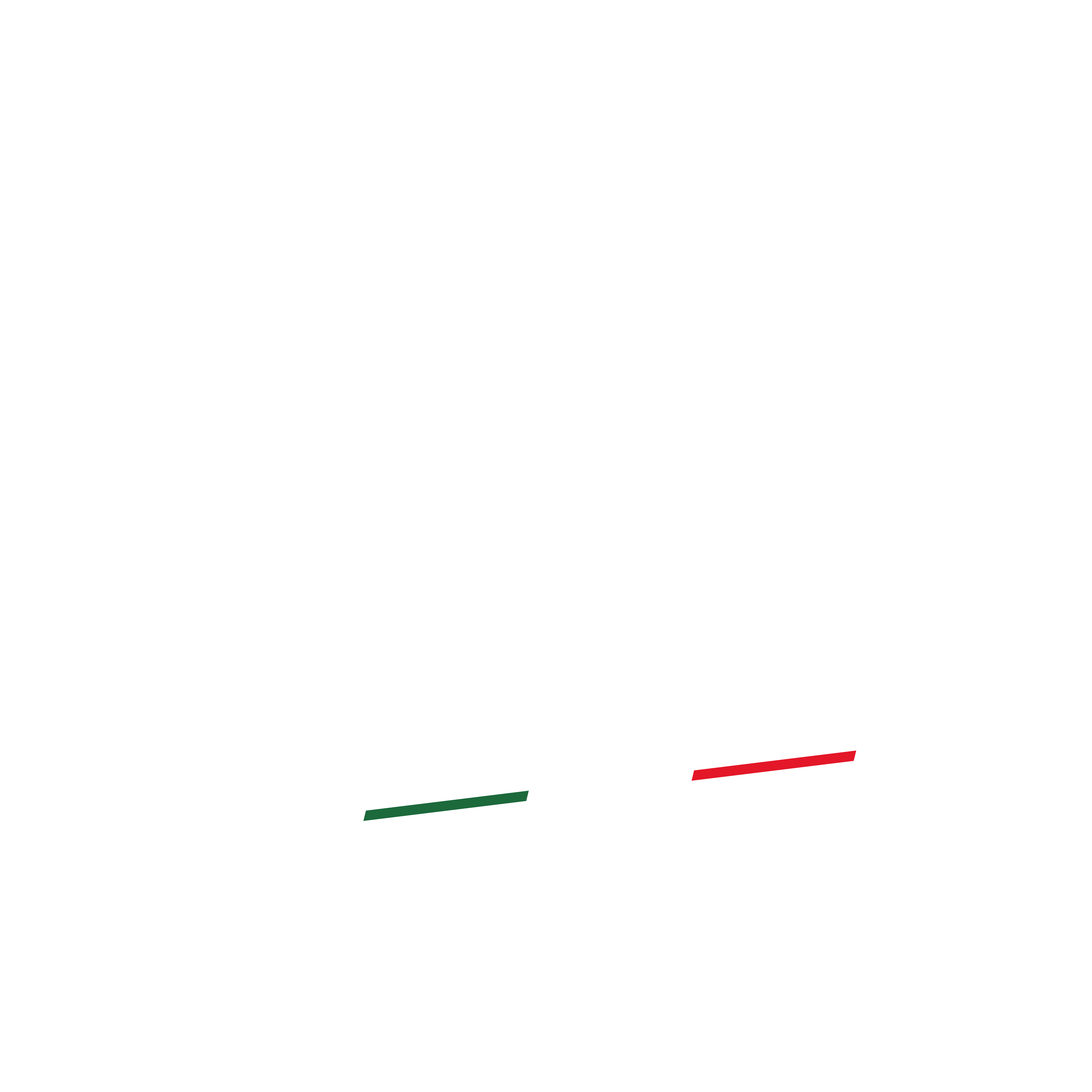 Pizza Nostra